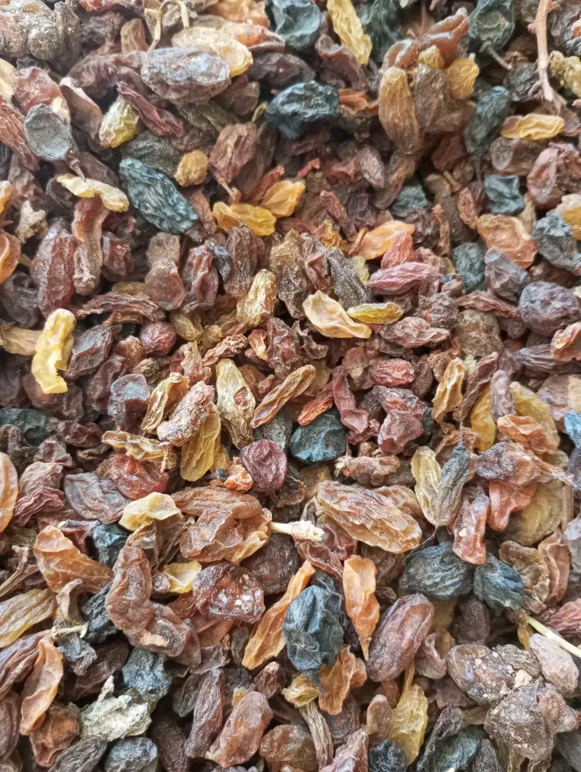 کشمش آفتابی کیلو ۱۱۲تومان|خوردنی و آشامیدنی|نیشابور, مدرس|دیوار