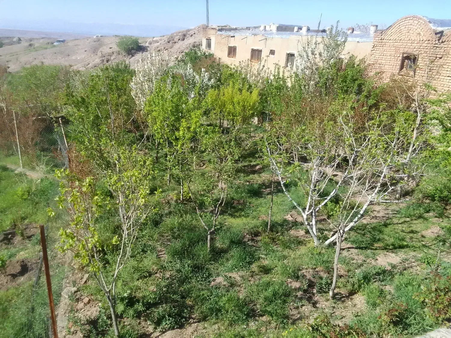 فروش باغچه|فروش زمین و ملک کلنگی|پلنگ آباد, |دیوار