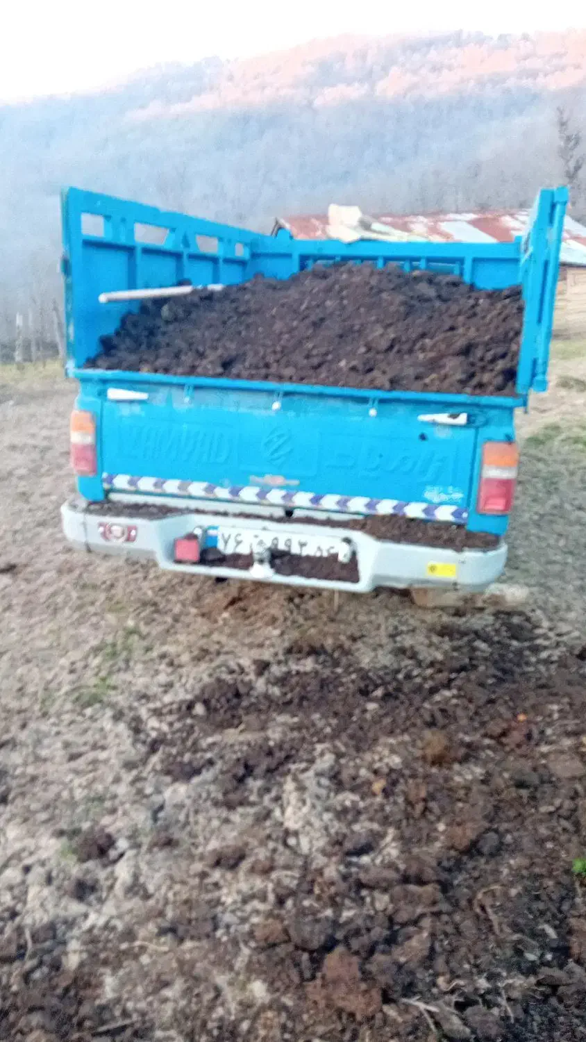 فروش کود حیوانی برای مزرعه برای باغچه|لوازم جانبی حیوانات|شاندرمن, |دیوار