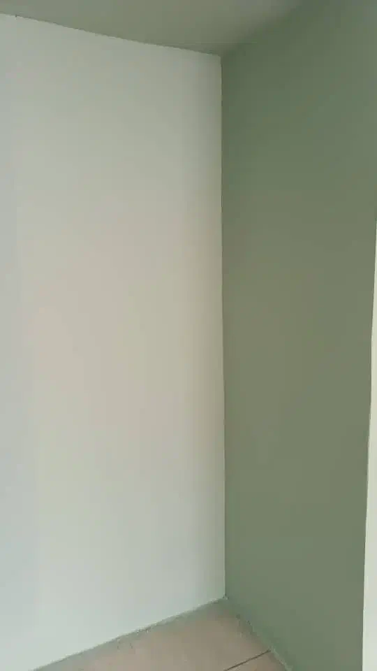 نقاشی ساختمان با قیمت مناسب|خدمات پیشه و مهارت|زیرآب, |دیوار