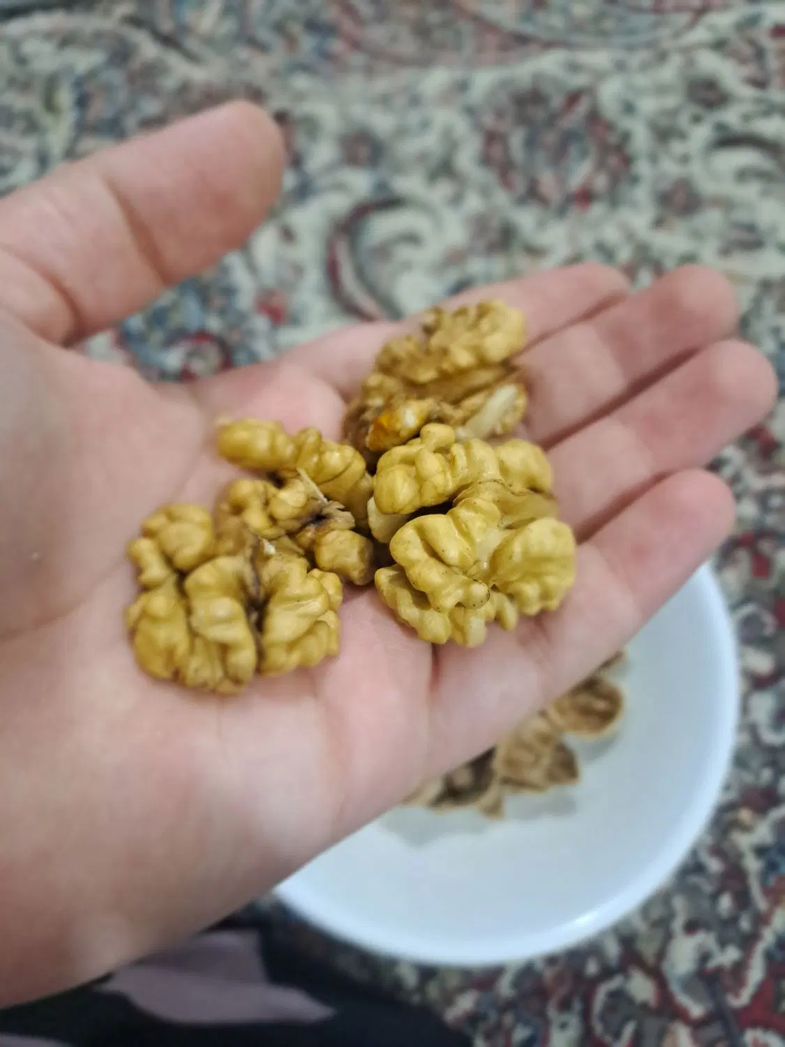 گردو|خوردنی و آشامیدنی|یاسوج, |دیوار