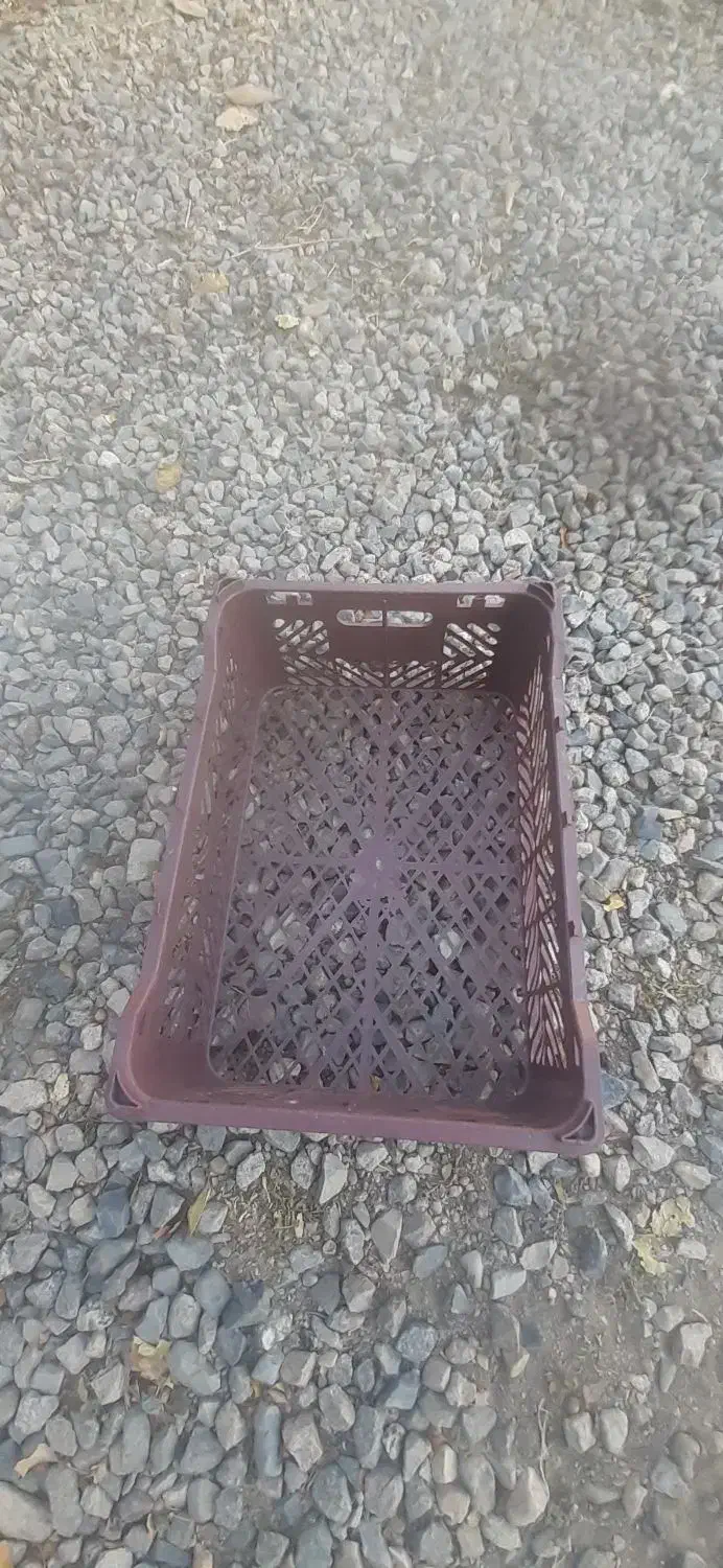 فروش سبد میوه|عمده‌فروشی|اهر, |دیوار