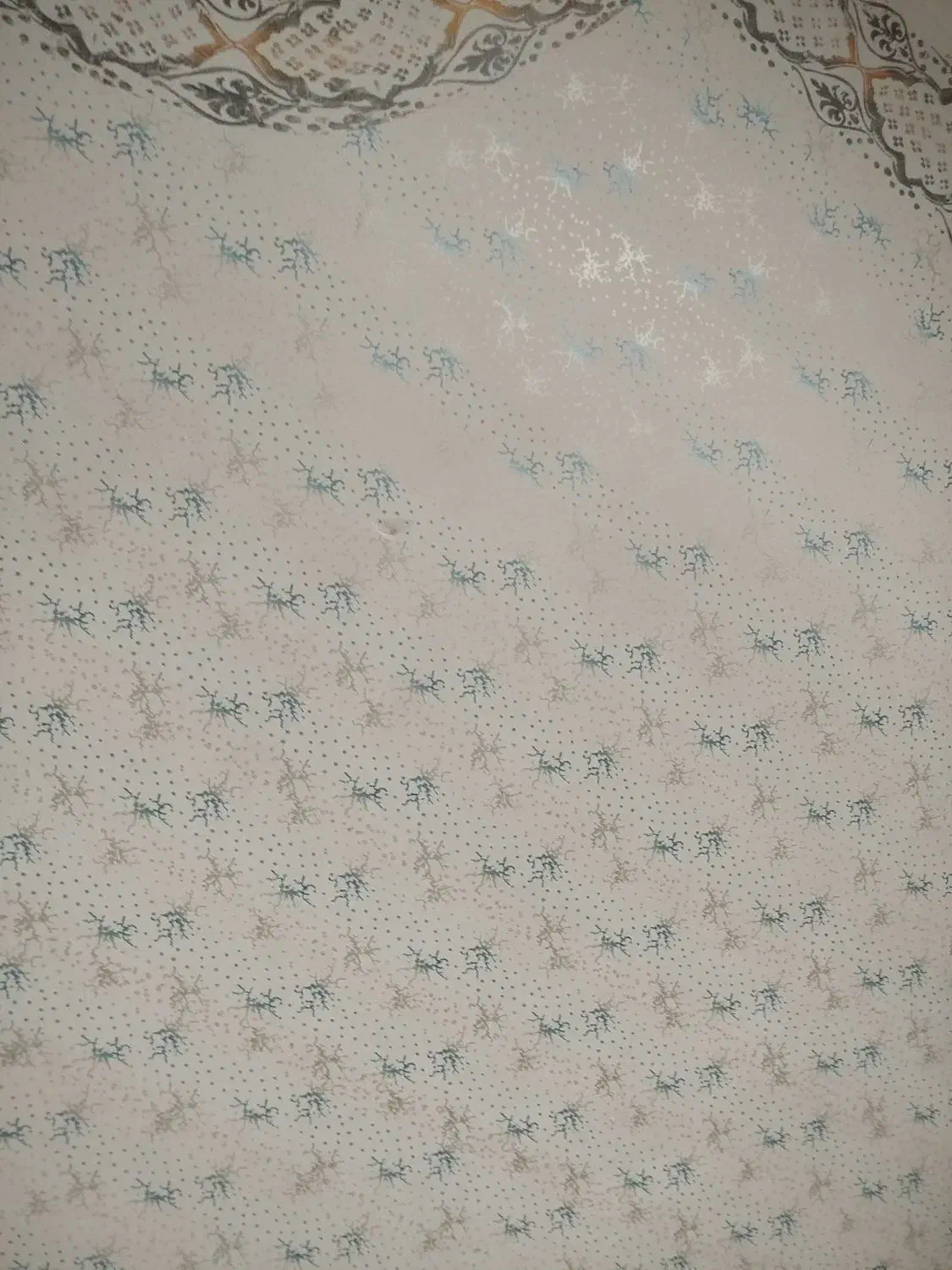 نقاشی ساختمان|خدمات پیشه و مهارت|شوط, |دیوار