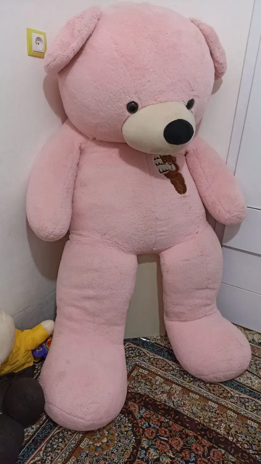 خرس بزرگ|اسباب‌‌بازی|زاهدان, |دیوار