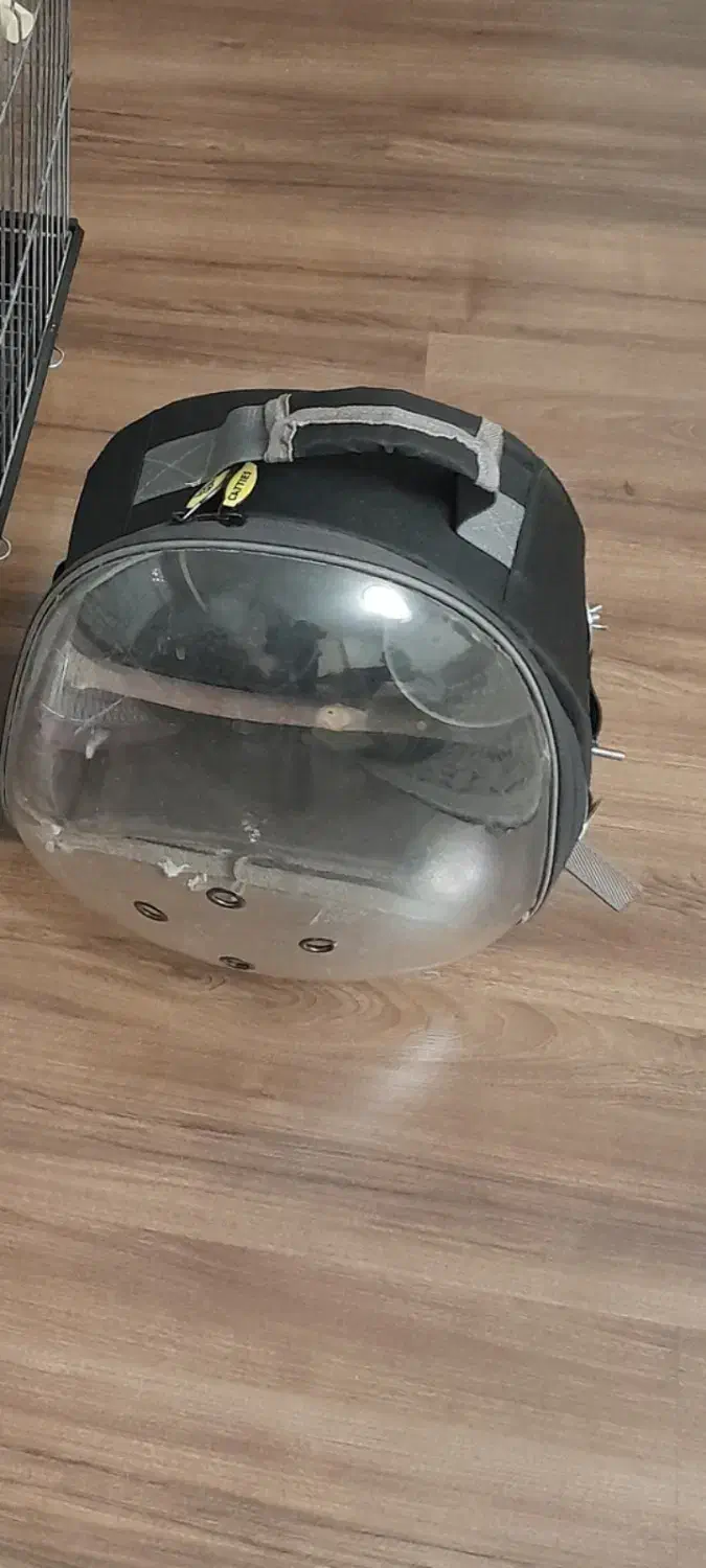 باکس پرنده|لوازم جانبی حیوانات|تهران, حشمتیه|دیوار