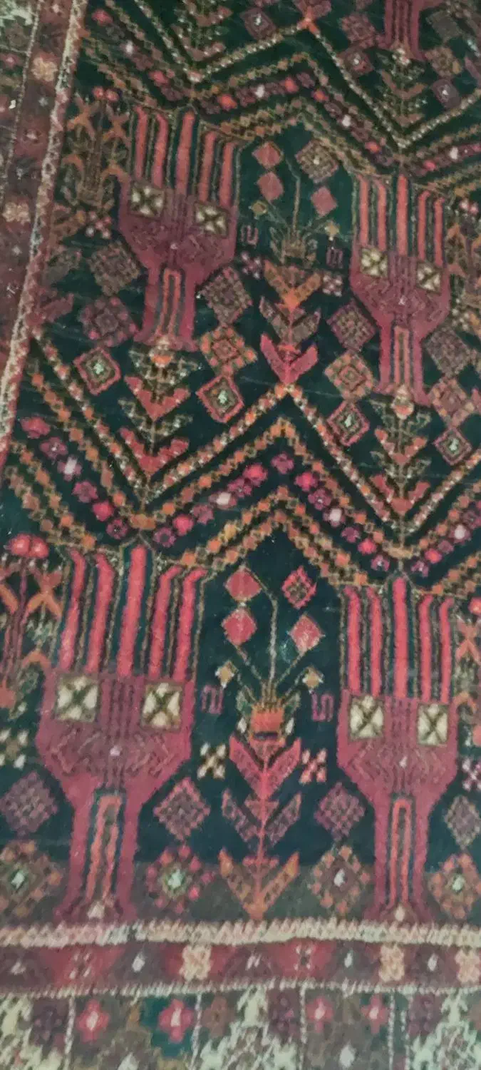 فرش دستباف|فرش|زاهدان, |دیوار