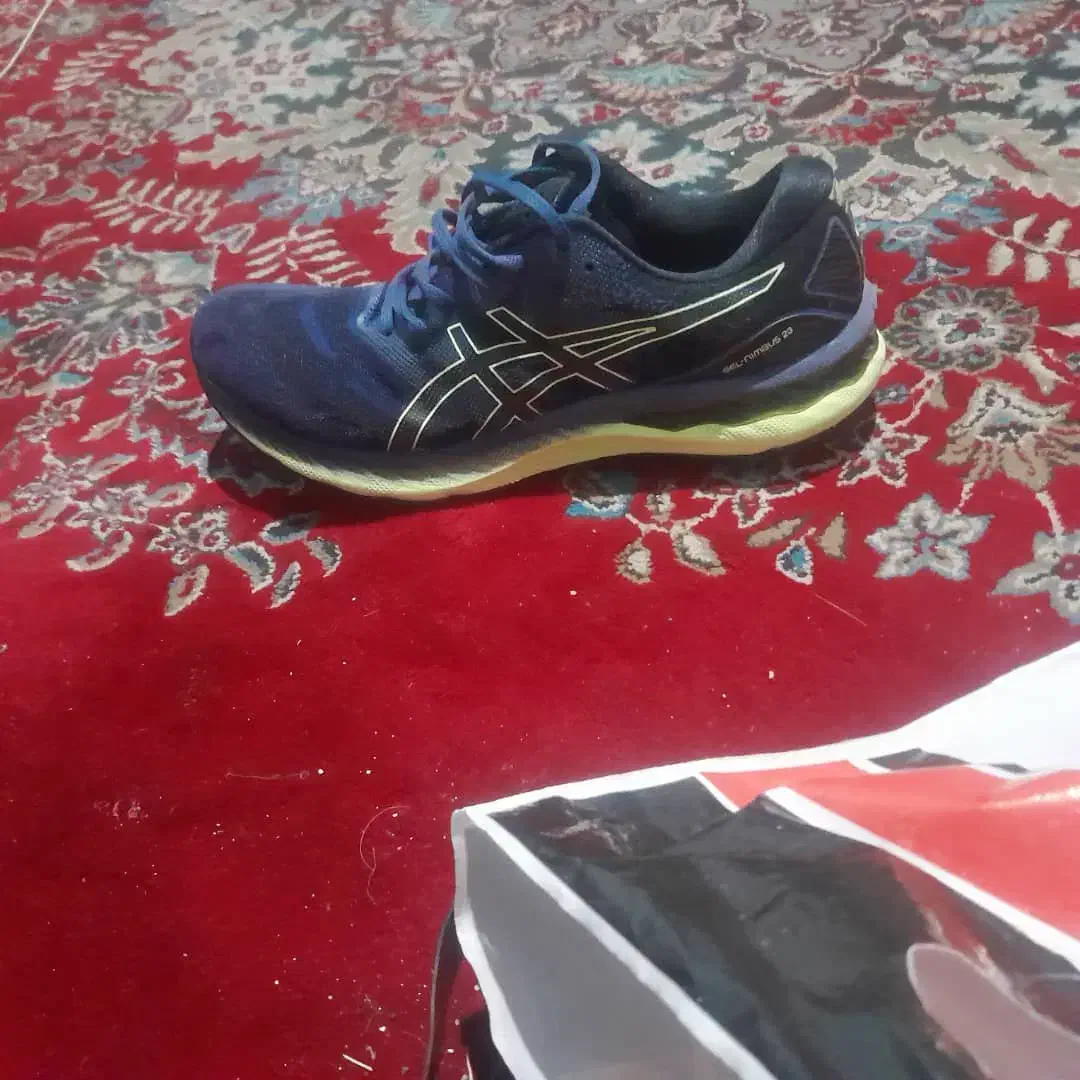 اسیکس ۴۳|کیف، کفش، کمربند|تهران, مولوی|دیوار