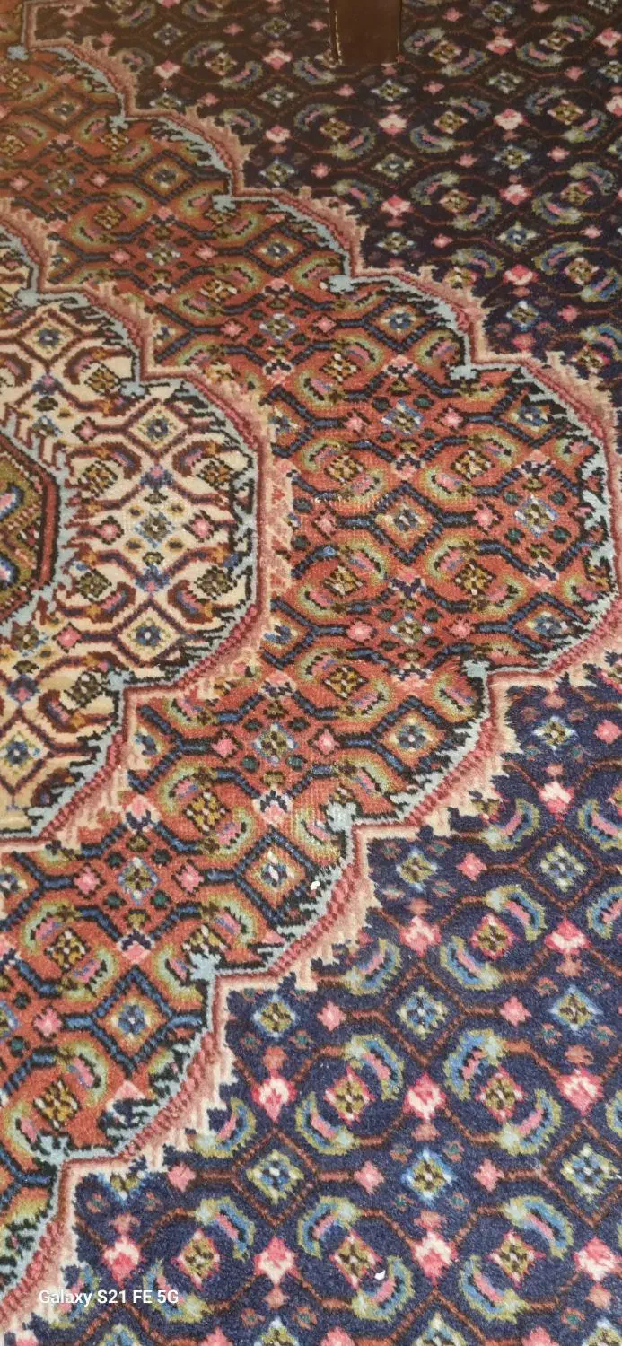 فروش فرش ریزه ماهی خوش رنگ و خوش نقشه|فرش|مشگین شهر, |دیوار