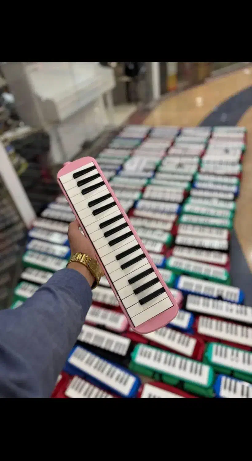 کالیمبا ملودیکا بلز|پیانو، کیبورد، آکاردئون|مشهد, طلاب|دیوار