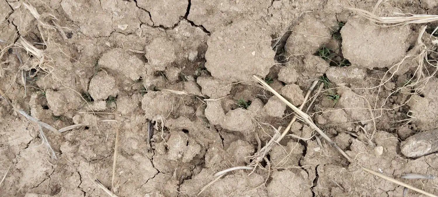 زمین کشاورزی در گراب|فروش دفتر صنعتی، کشاورزی، تجاری|طرهان, |دیوار