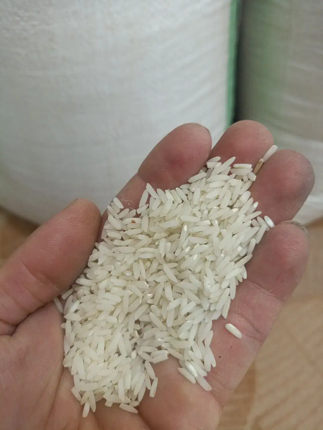 برنج هاشمی درجه یک|خوردنی و آشامیدنی|لاهیجان, امیرشهید|دیوار