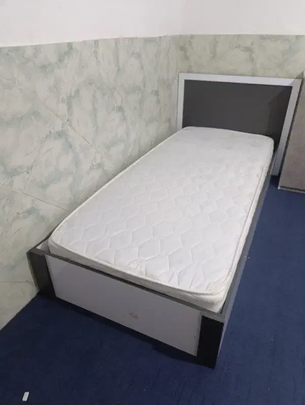 تخت نوجوان ام دی اف|تخت و سرویس خواب|سیرجان, |دیوار