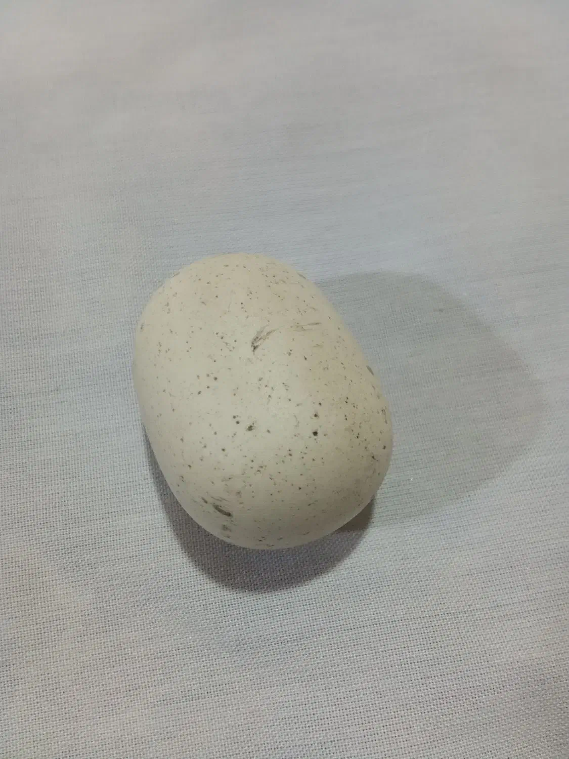 سنگ الماس آسیاب|جواهرات|تبریز, |دیوار