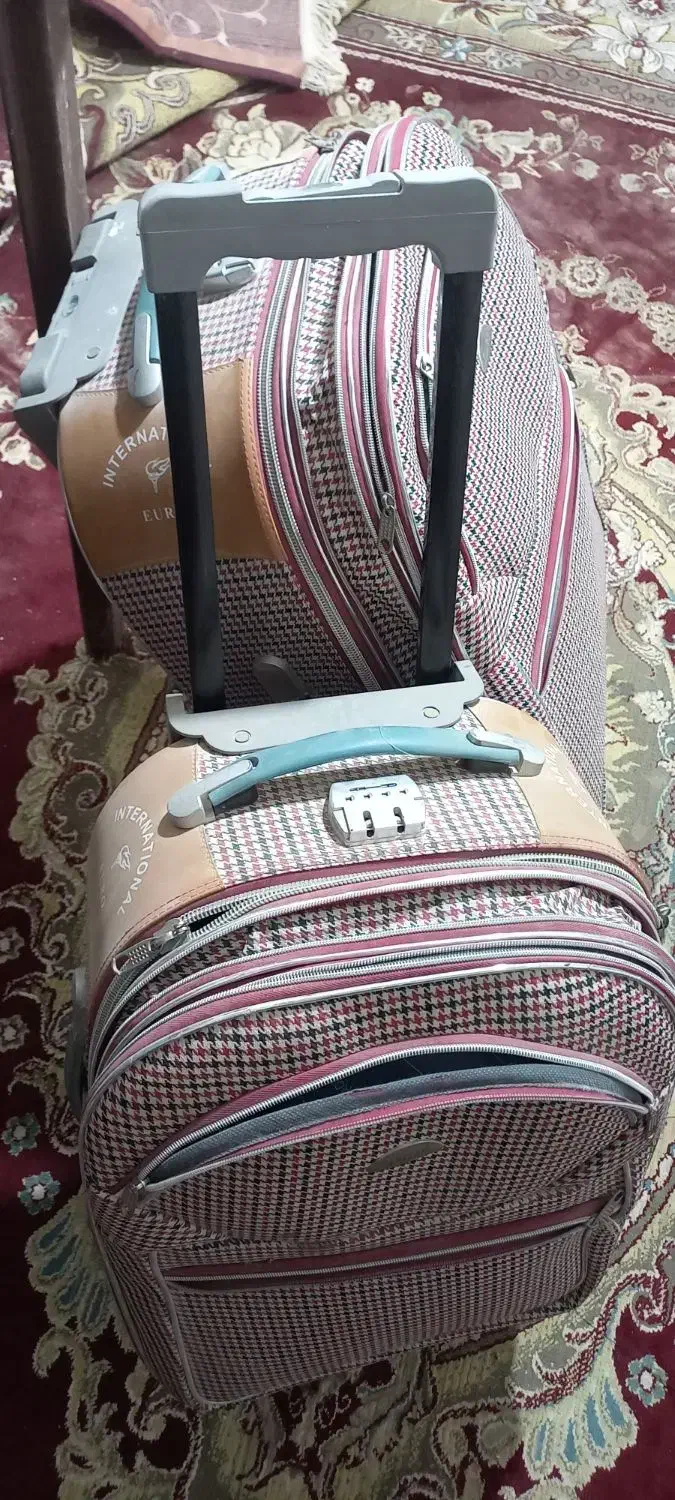 ساک چرخ دار|کیف، کفش، کمربند|زابل, |دیوار