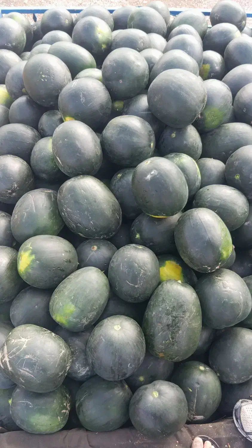 یک تن هندونه|خوردنی و آشامیدنی|خرامه, |دیوار