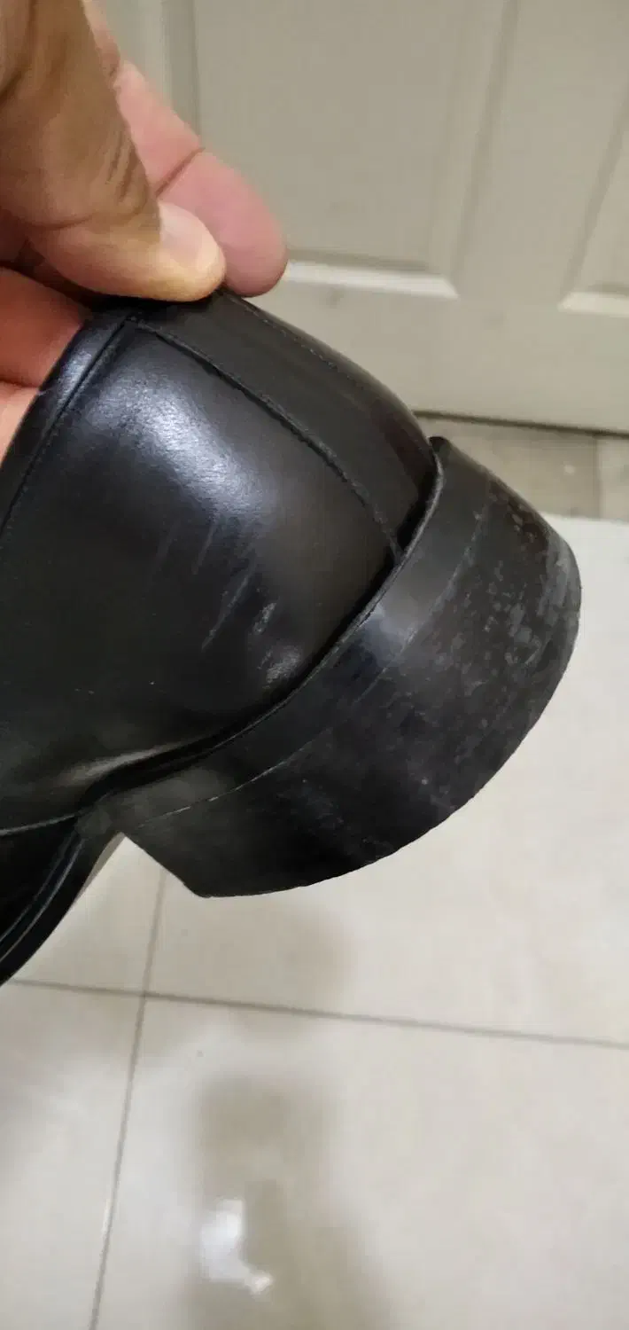 کفش مجلسی|کیف، کفش، کمربند|تبریز, |دیوار