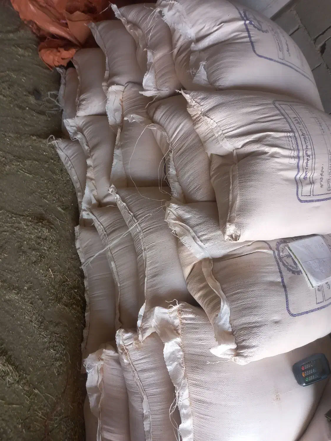 سبوس گندم|عمده‌فروشی|یاسوج, |دیوار