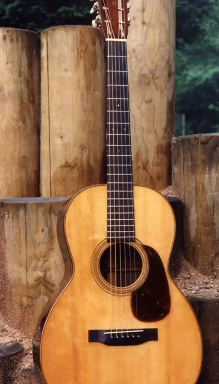 گیتاریست|استخدام هنری و رسانه|تهران, فلسطین (میدان انقلاب)|دیوار