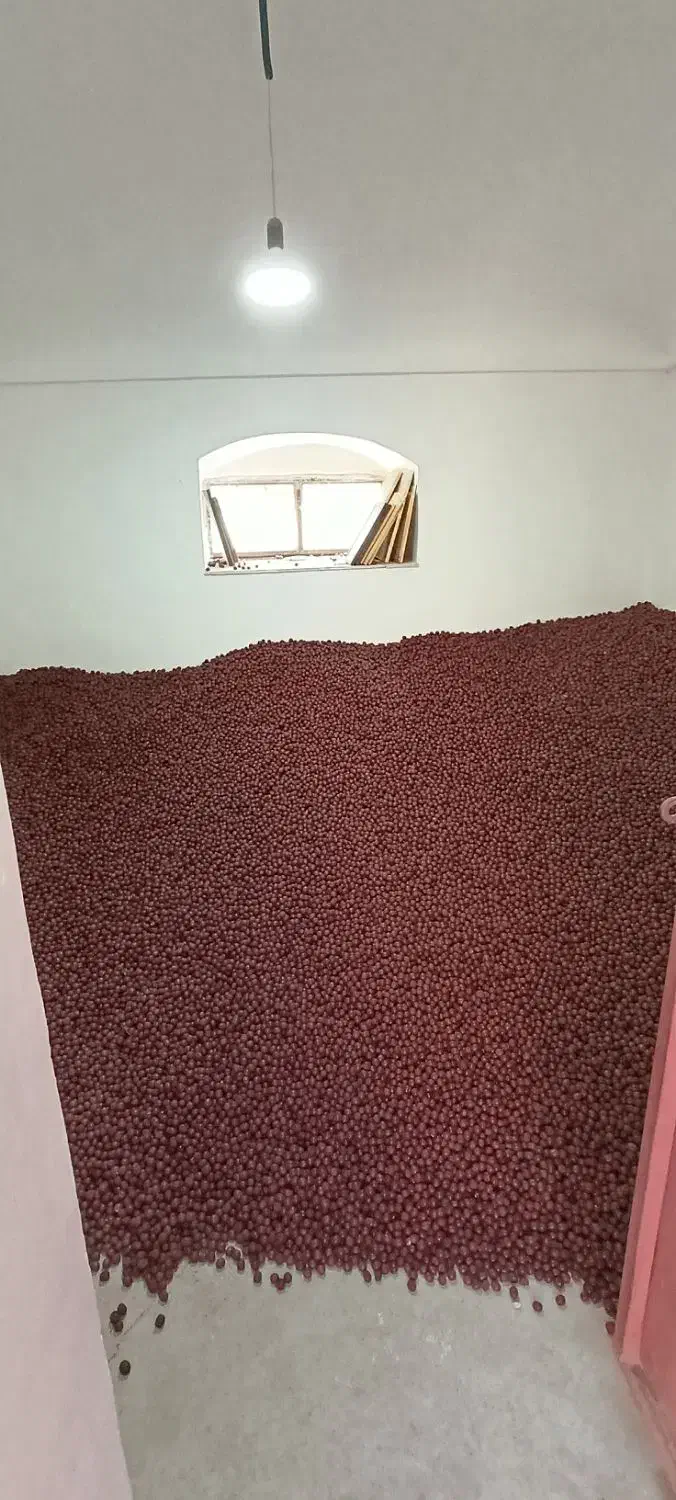 عناب سیوجان از تولید به مصرف|خوردنی و آشامیدنی|خوسف, |دیوار