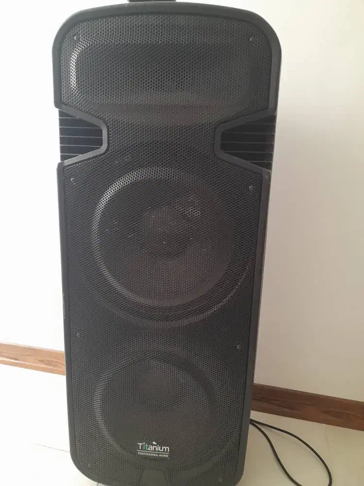 باند اکتیو ۱۵ اینچ دبل|سیستم صوتی خانگی|بندرعباس, |دیوار