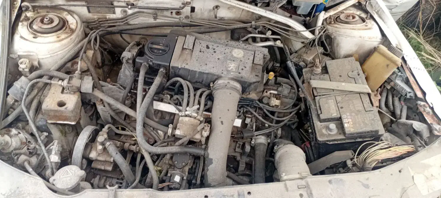 سمند 91دوگانه شرکتی|خودرو سواری و وانت|بجنورد, |دیوار