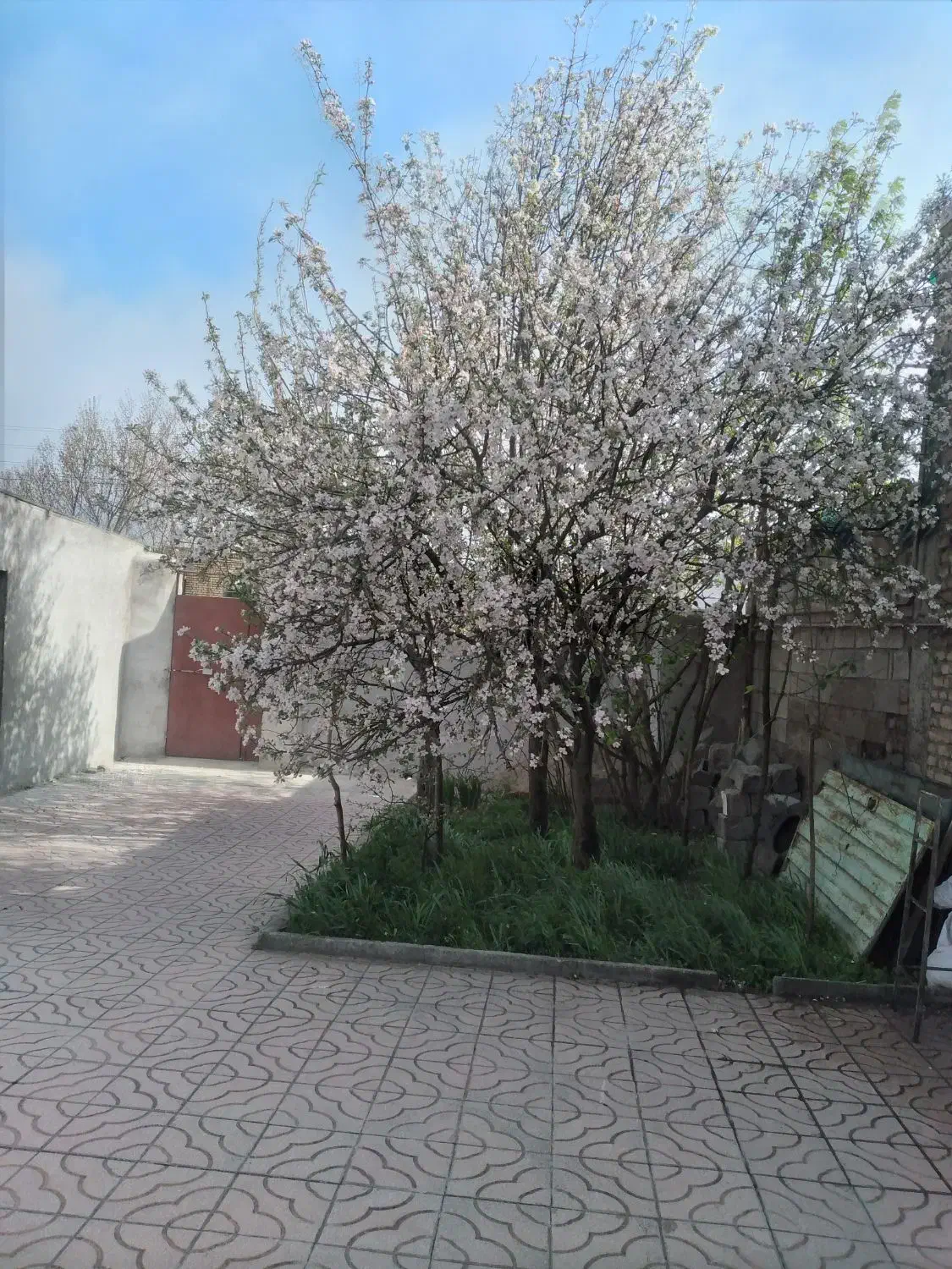 خانه ویلایی واقع درروستای ننه کران|فروش خانه و ویلا|نمین, |دیوار