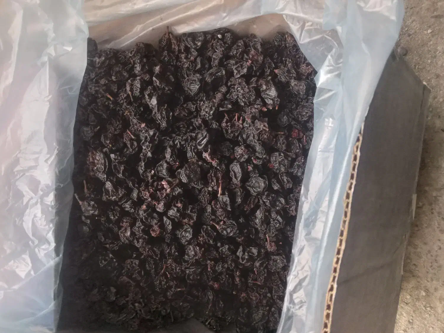 کشمش ، مویز انگور سیاه سردشت|خوردنی و آشامیدنی|سردشت, |دیوار