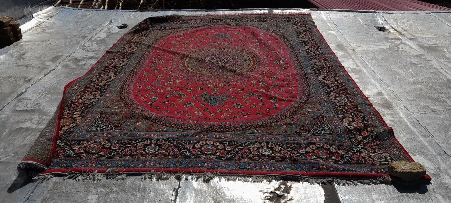 فرش|فرش|مهاجران, |دیوار