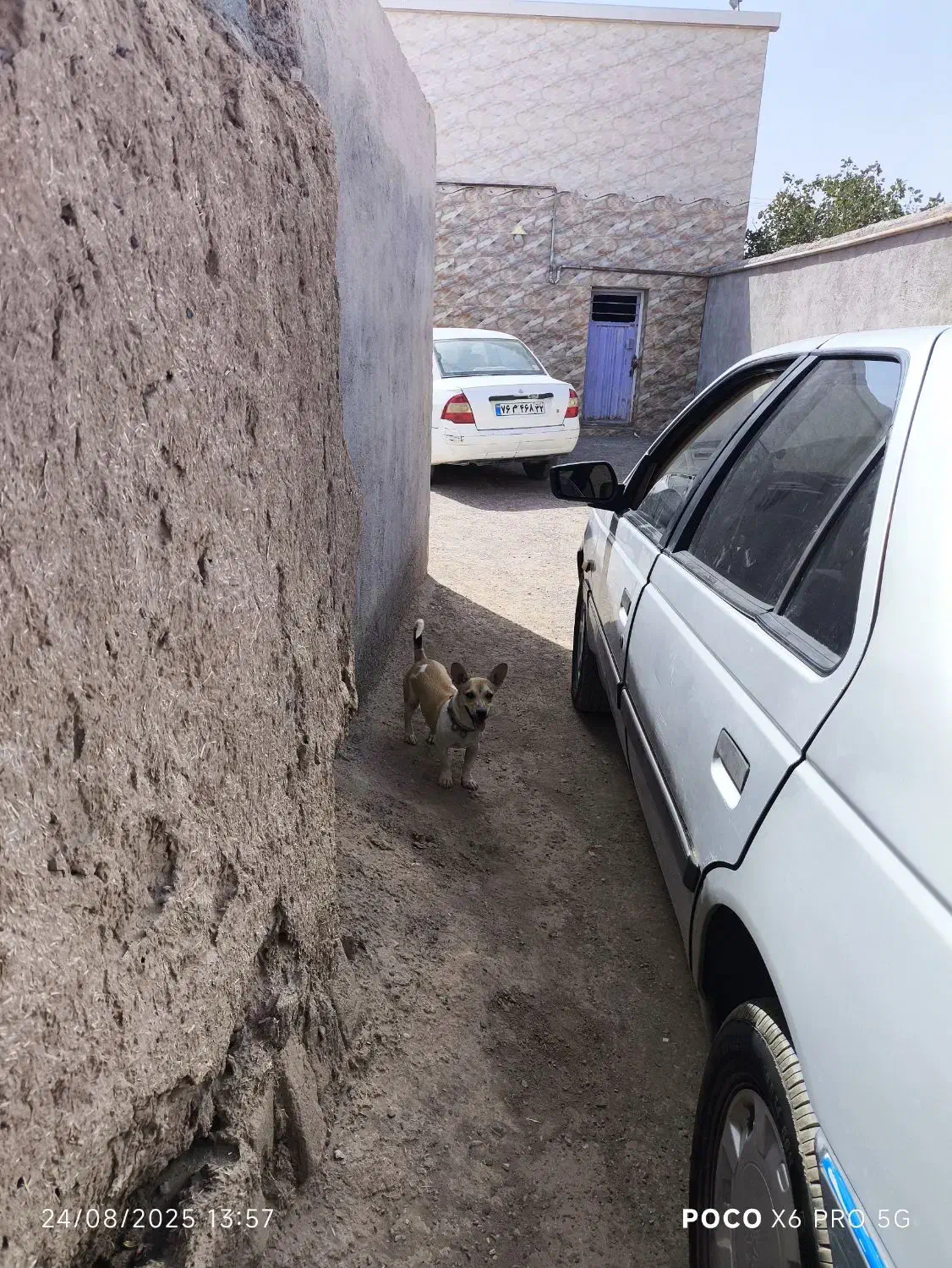 تاکسی از کلاله و گنبد به تهران وبلعکس|خدمات حمل و نقل|کلاله, |دیوار
