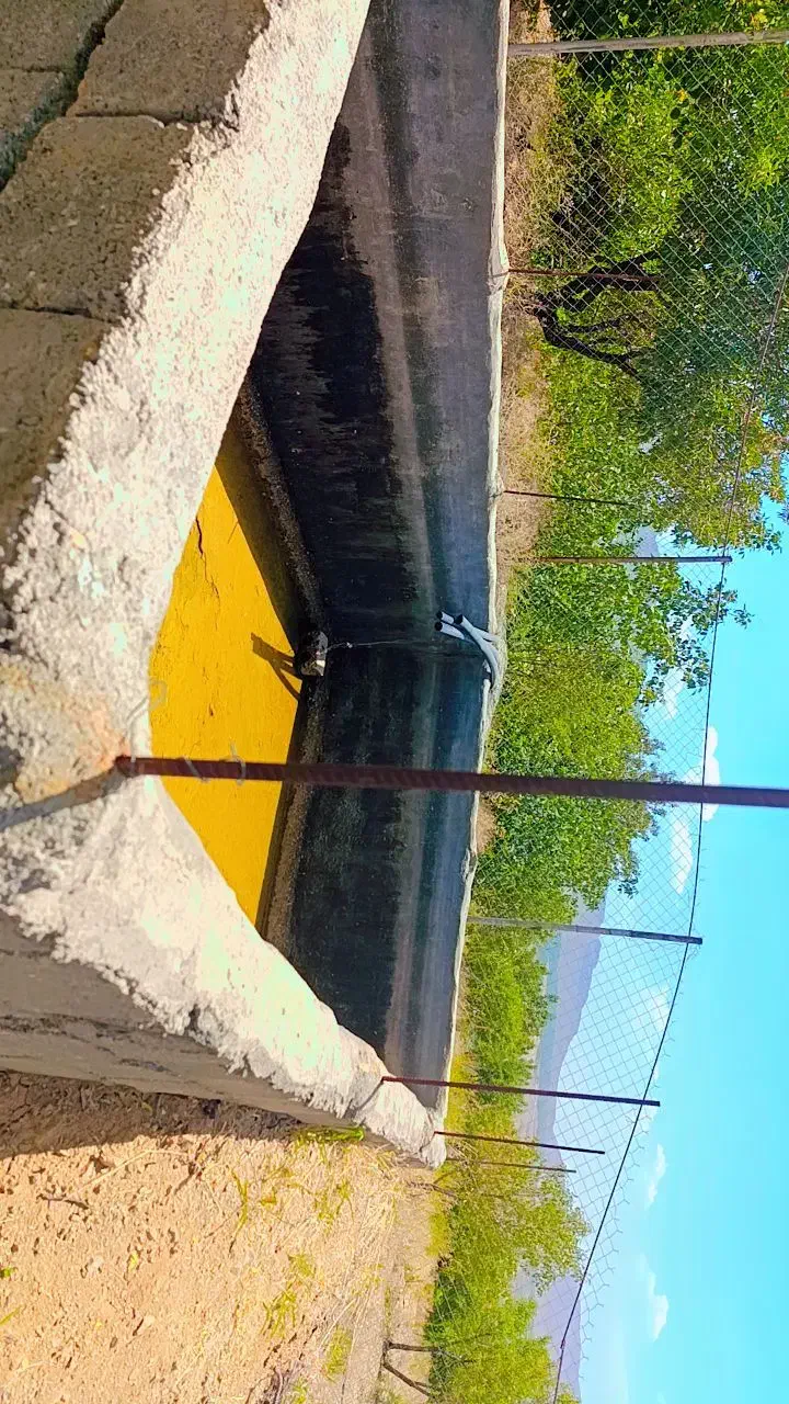 فروش باغ نزدیک پل زمانخان|فروش دفتر صنعتی، کشاورزی، تجاری|زاینده رود, |دیوار