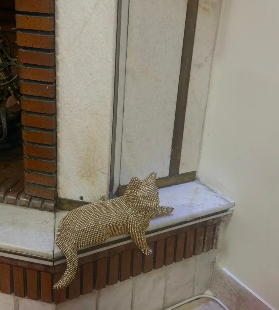 دکوری گربه وجای دستمال کاغذی ست|مجسمه، تندیس، ماکت|تهران, اختیاریه|دیوار