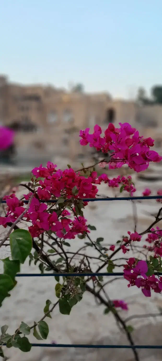 زمین ۱۰۰۰ متر|فروش زمین و ملک کلنگی|شوشتر, |دیوار