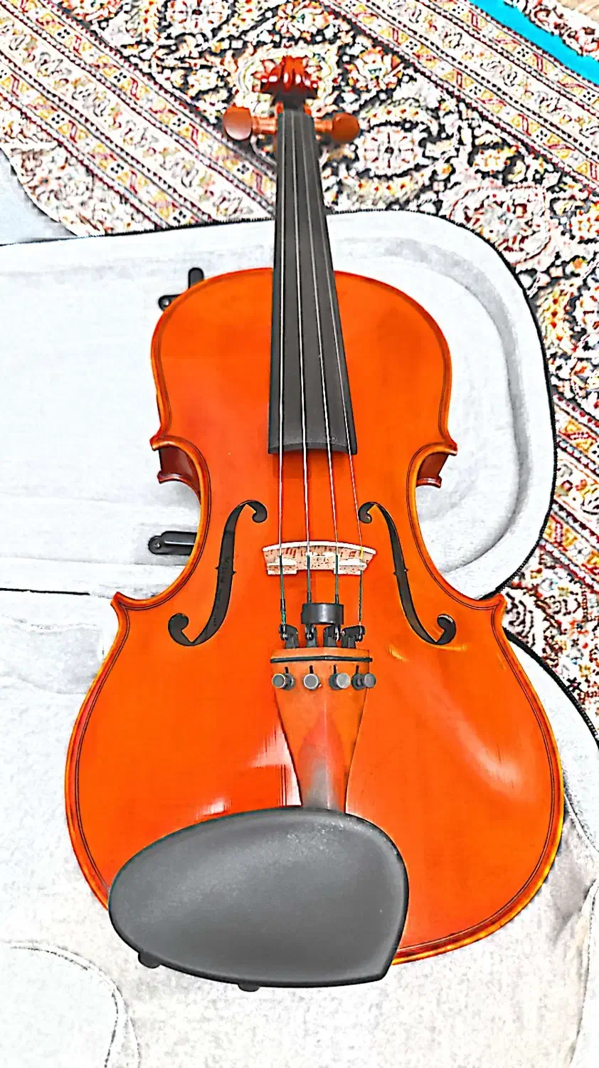 ویولن|ویولن|تهران, صادقیه|دیوار