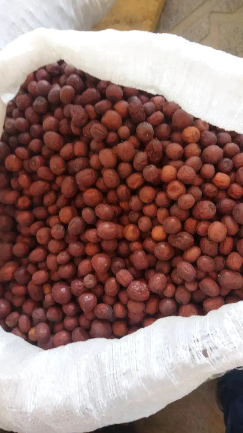 عناب|خوردنی و آشامیدنی|قائن, |دیوار