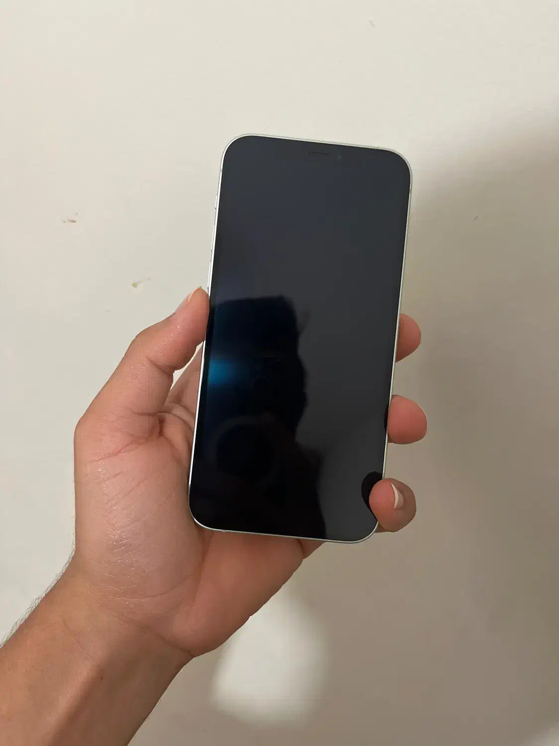 ایفون ۱۲ نرمال|موبایل|جم, |دیوار