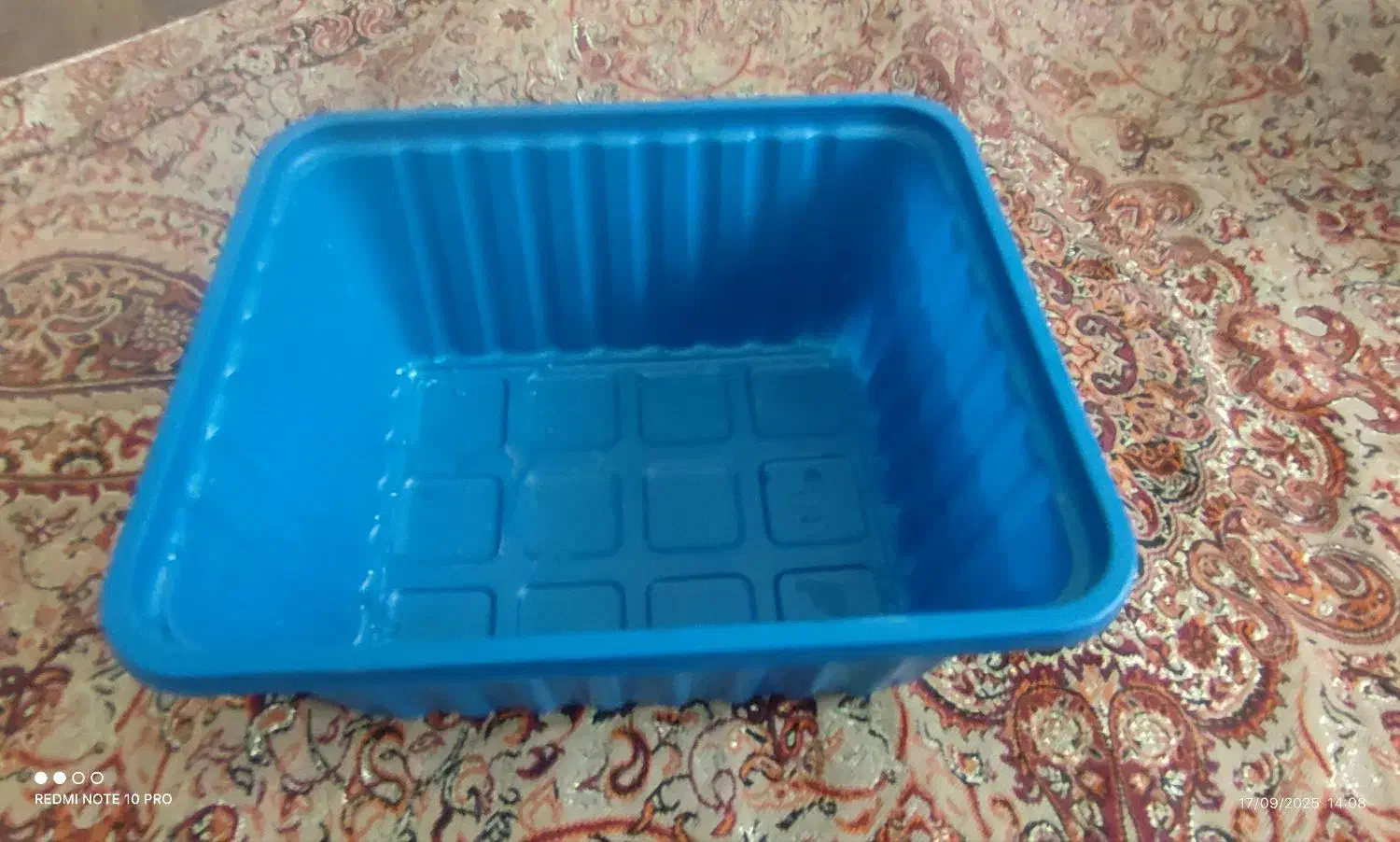 تعدادی ظرف بسته بندی قارچ به فروش میرسد|ظروف نگهدارنده، پلاستیکی، یک‌بارمصرف|محمدیه-قزوین, |دیوار