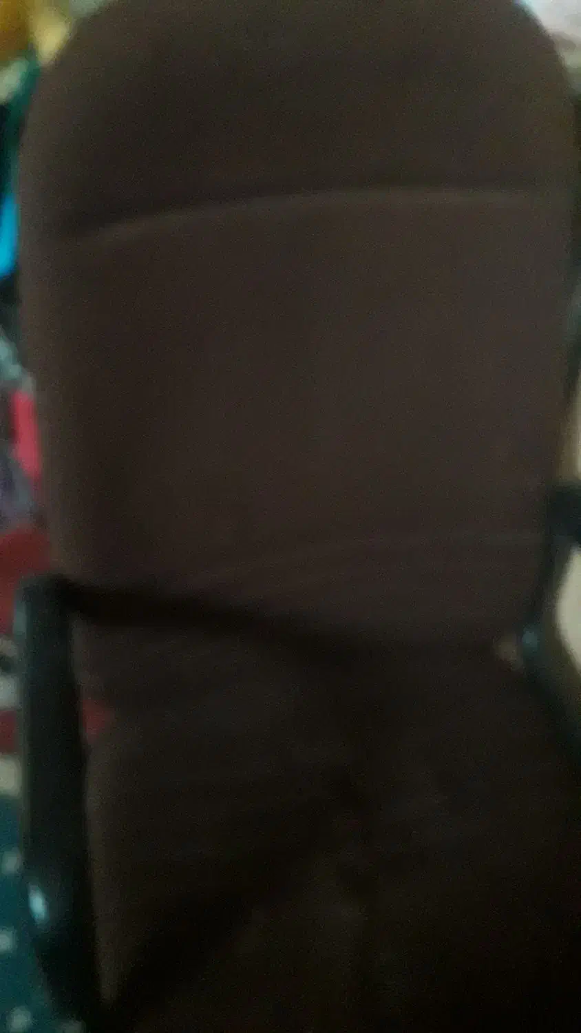 صندلی|مبلمان اداری|اصفهان, لاله|دیوار