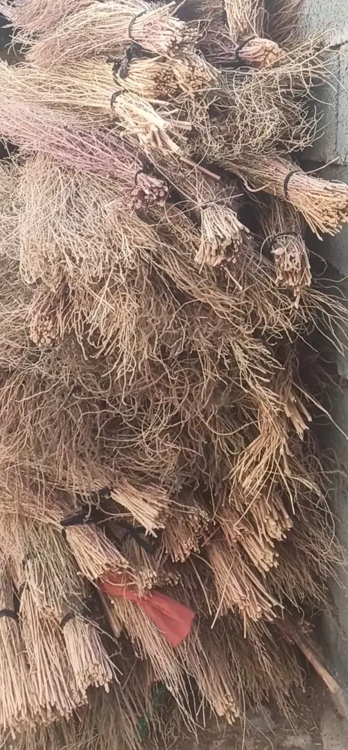 فروش 150 عدد جارو محلی|خدمات باغبانی و درختکاری|کامیاران, |دیوار