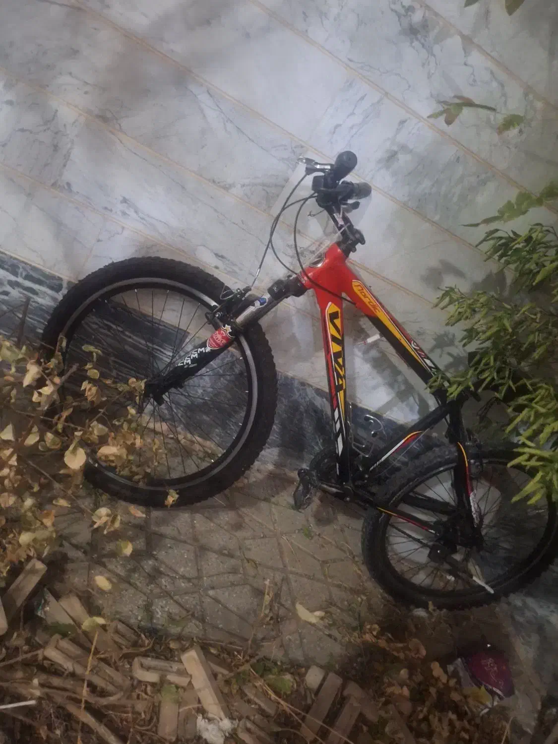 دوچرخه|دوچرخه، اسکیت، اسکوتر|بروجرد, |دیوار