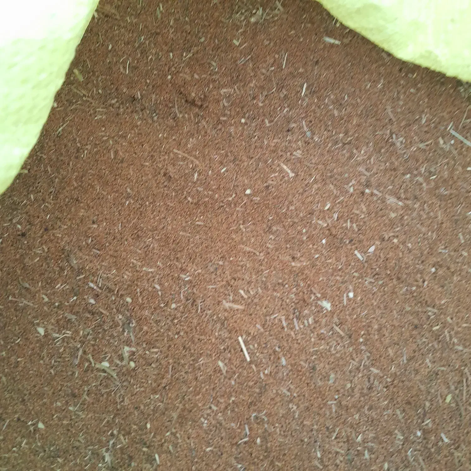 خاکشیر|خوردنی و آشامیدنی|میلاجرد, |دیوار