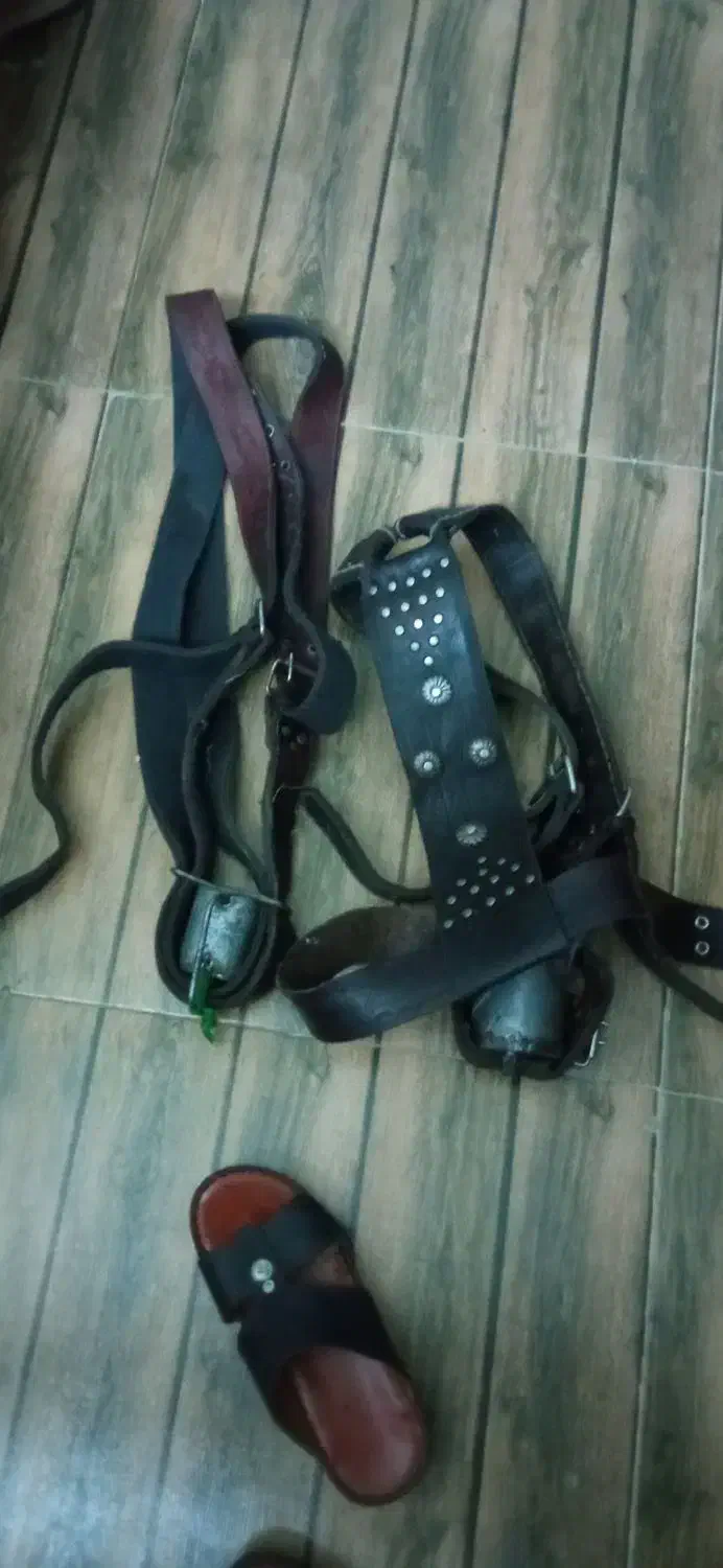 کمربند علامت|کلکسیون اشیاء عتیقه|دورود, |دیوار