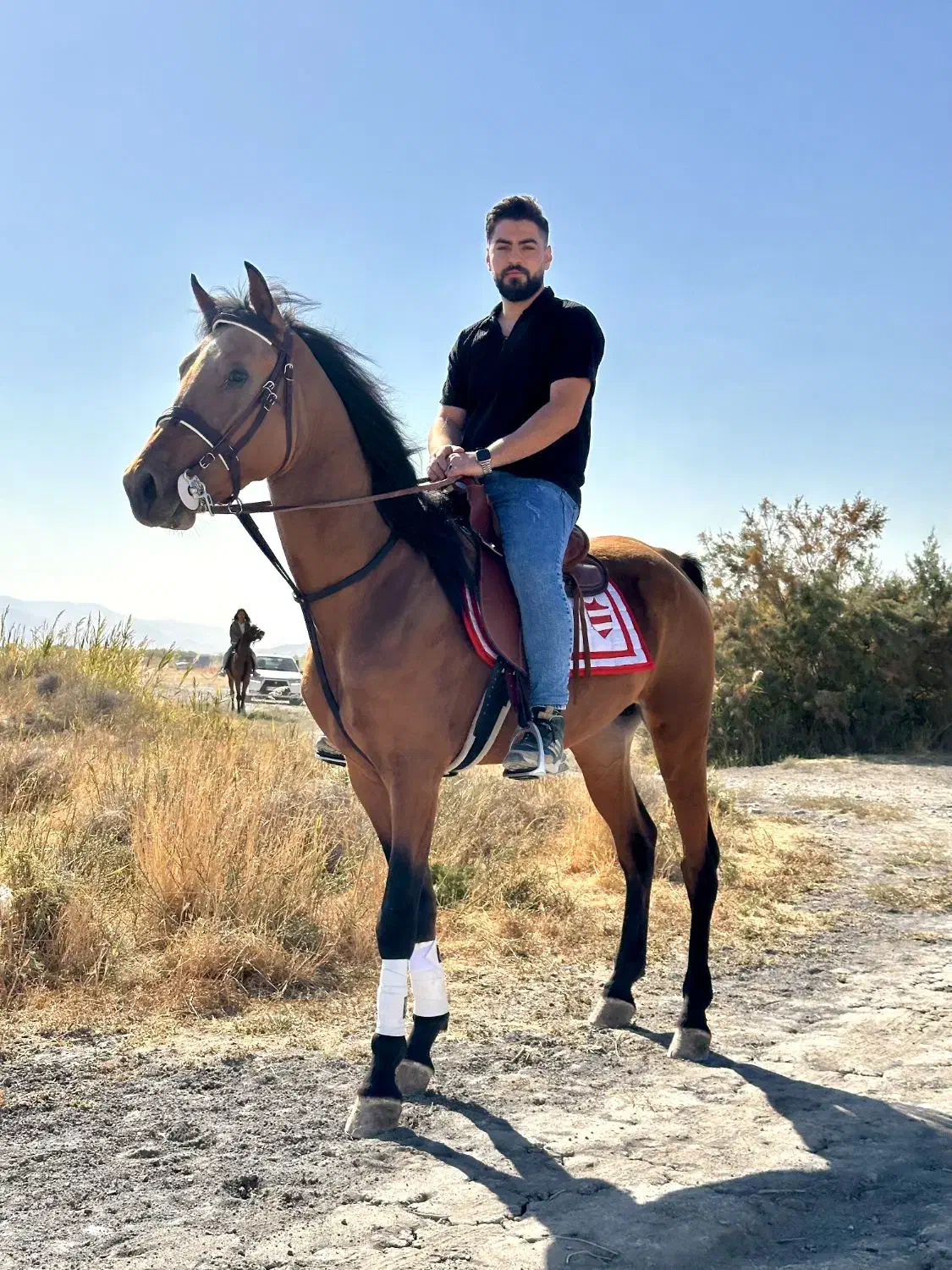 اسب نریان دره شوری|اسب و تجهیزات اسب‌سواری|ارومیه, |دیوار