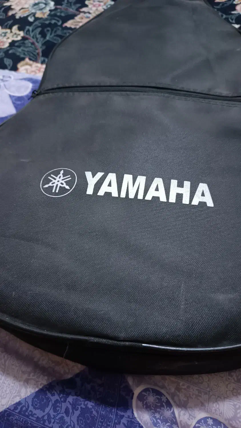 گیتار فروشی|گیتار، بیس، امپلیفایر|بندرعباس, |دیوار