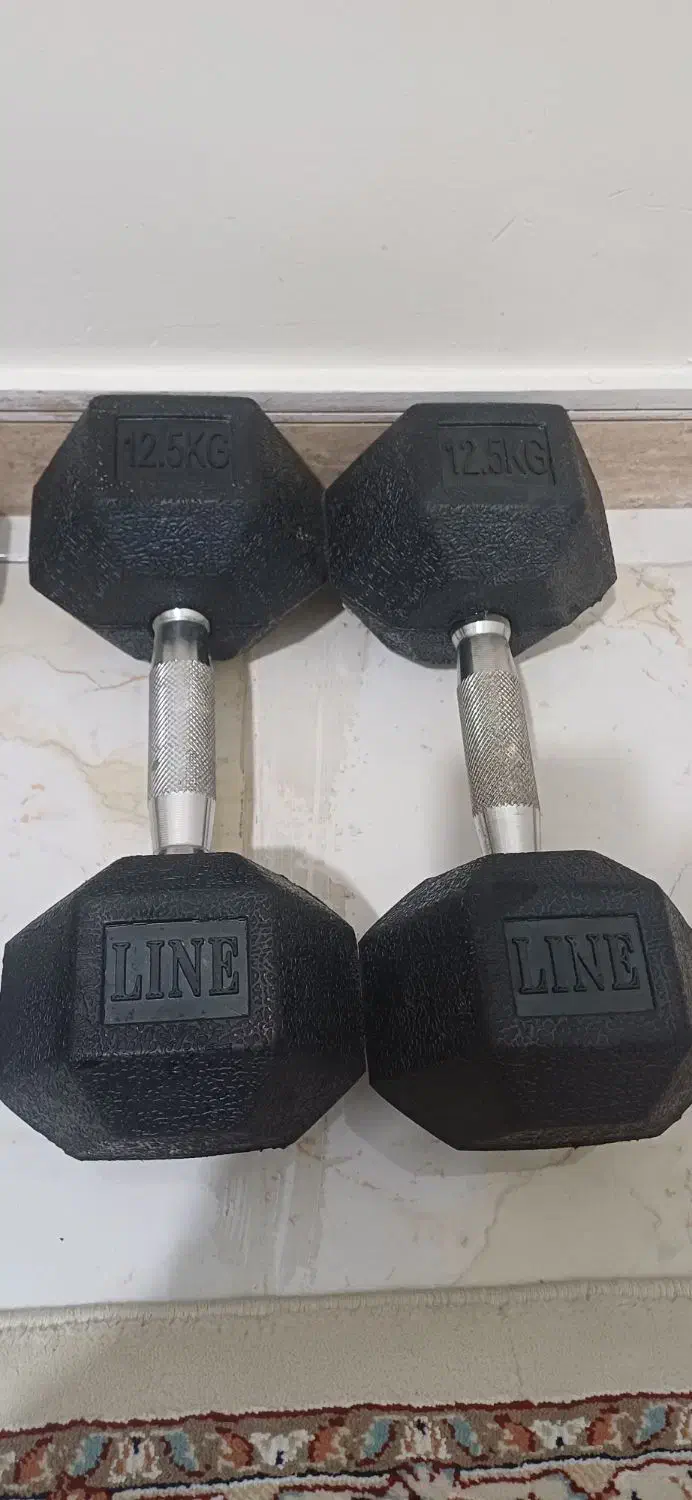 دمبل شش ضلعی در ۴ وزن مختلف|تجهیزات ورزشی|اندیشه, اندیشه فاز ۱|دیوار