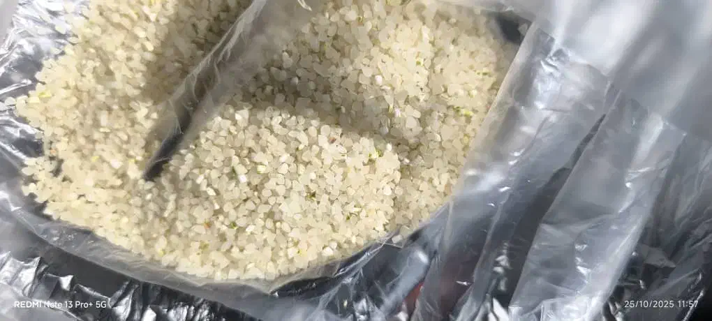 خرده برنج|خوردنی و آشامیدنی|صدرا-فارس, باغشهر گلبهار صدرا|دیوار