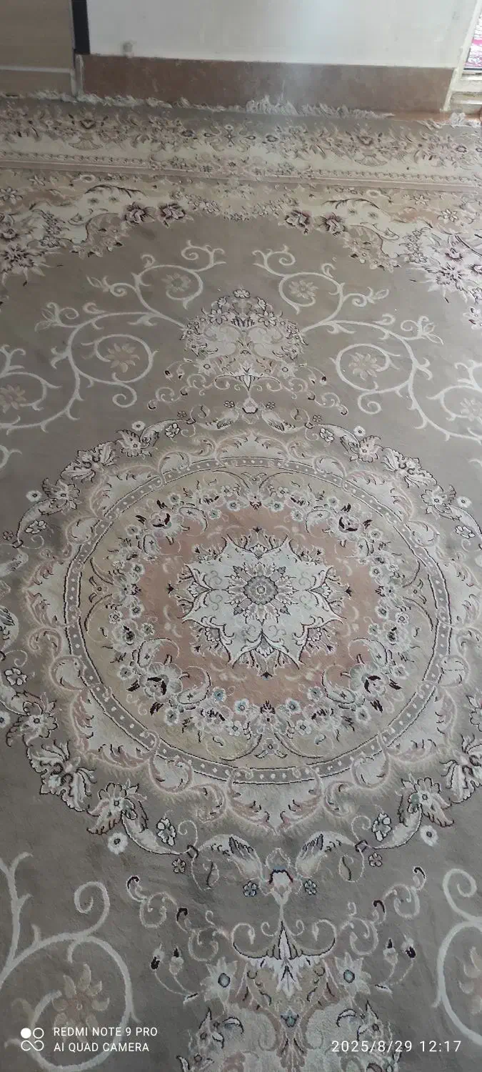 فرش ۱۲ متری با تراکم بالا|فرش|میانه, |دیوار