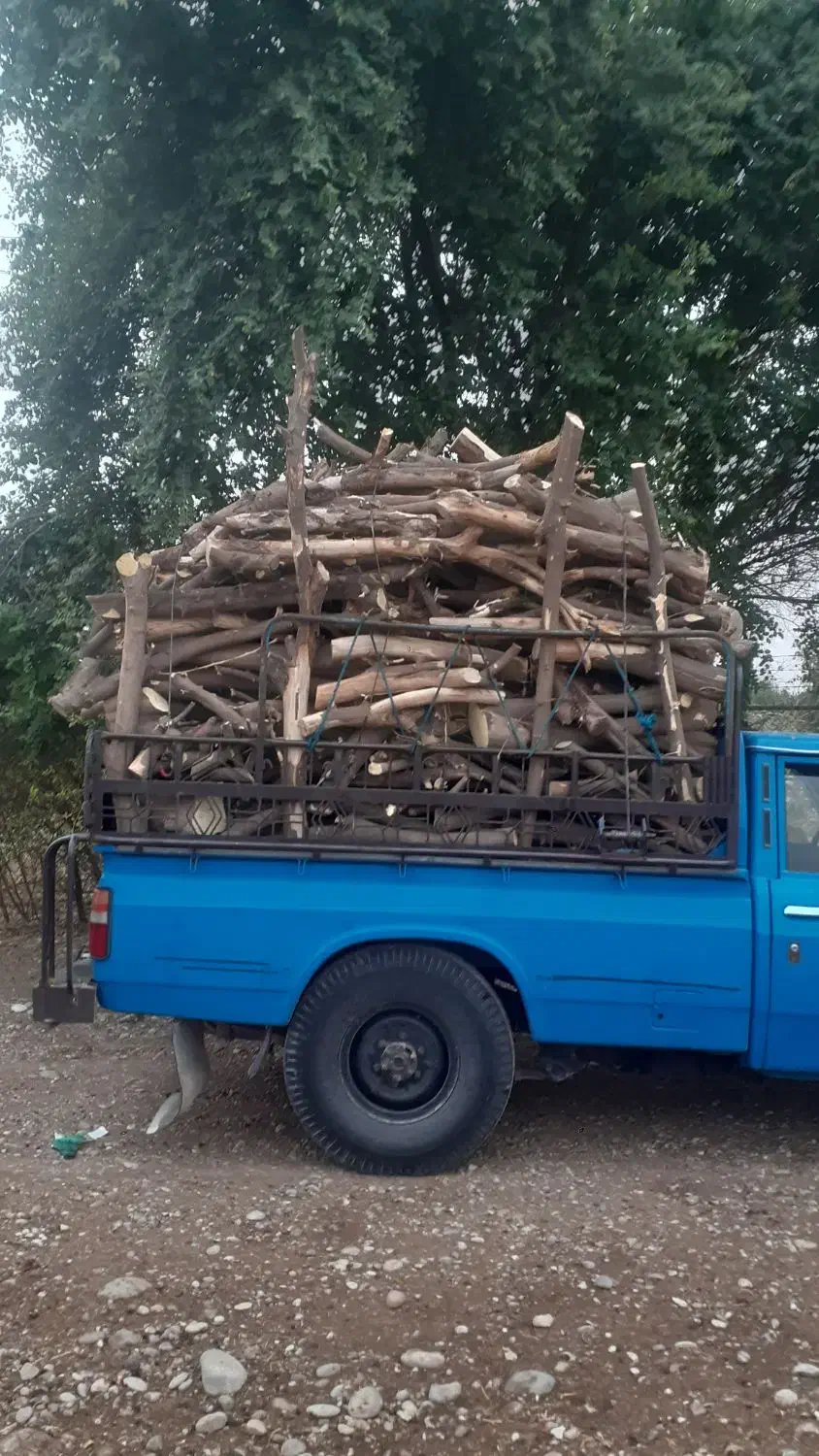 خرید چوب|خدمات باغبانی و درختکاری|دزفول, |دیوار