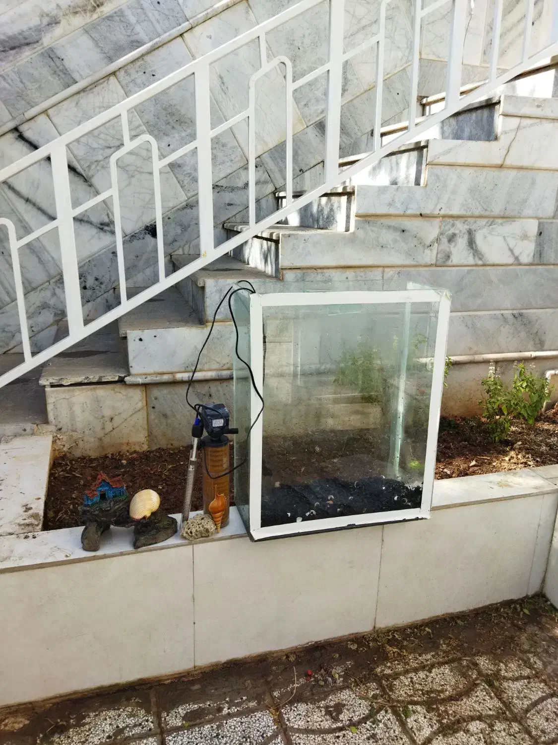 آکواریوم|ماهی|تربت‌حیدریه, ۴۵ متری|دیوار