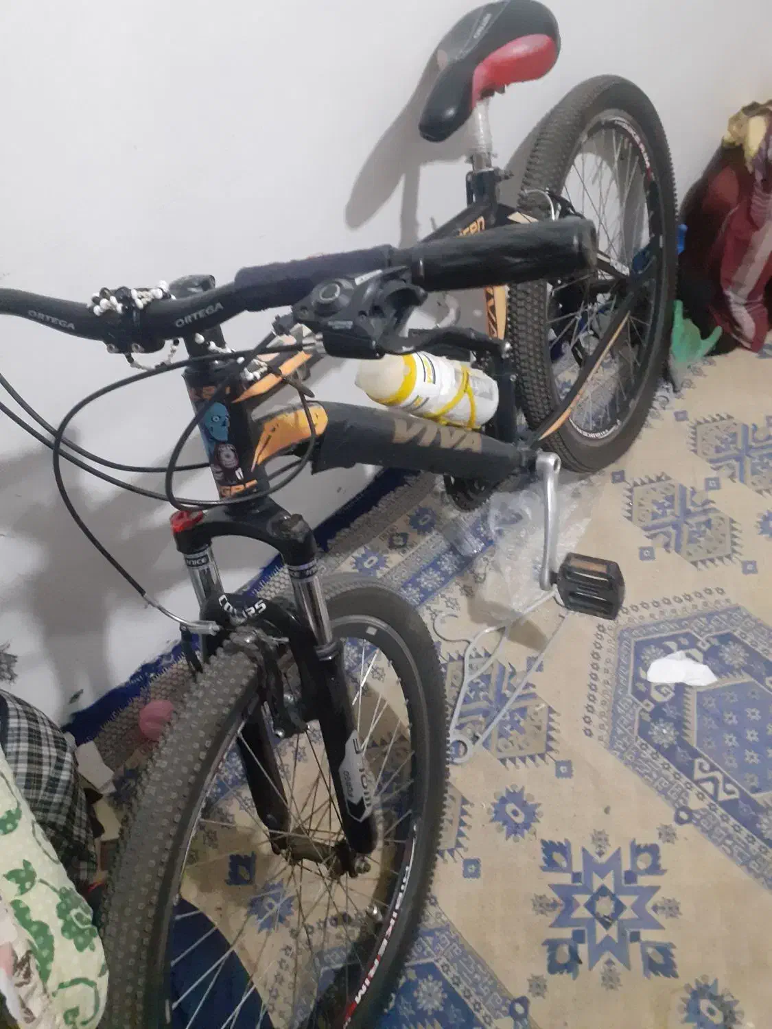 دوچرخه ویوا اصل|دوچرخه، اسکیت، اسکوتر|گالیکش, |دیوار