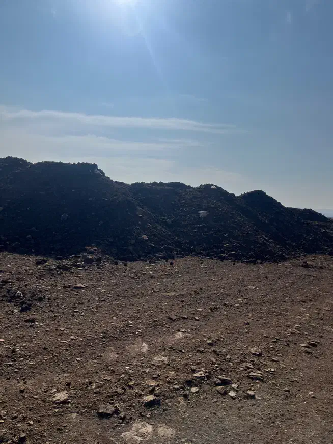 انواع کود حیوانی و قارچی|خدمات باغبانی و درختکاری|زرندیه, |دیوار